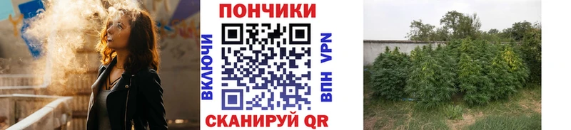 Наркота Кудрово СОЛЬ  LSD-25  Гашиш  COCAIN  Мефедрон  АМФЕТАМИН  МЕТАМФЕТАМИН 