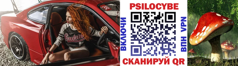 Галлюциногенные грибы Psilocybine cubensis  как найти закладки  маркетплейс телеграм  Кудрово  KRAKEN маркетплейс 