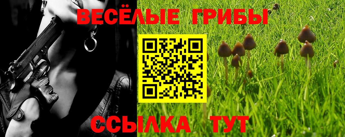 Галлюциногенные грибы ЛСД  Вход с VPN  наркотики  Кудрово 