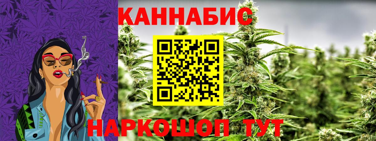 МЕФ Кудрово